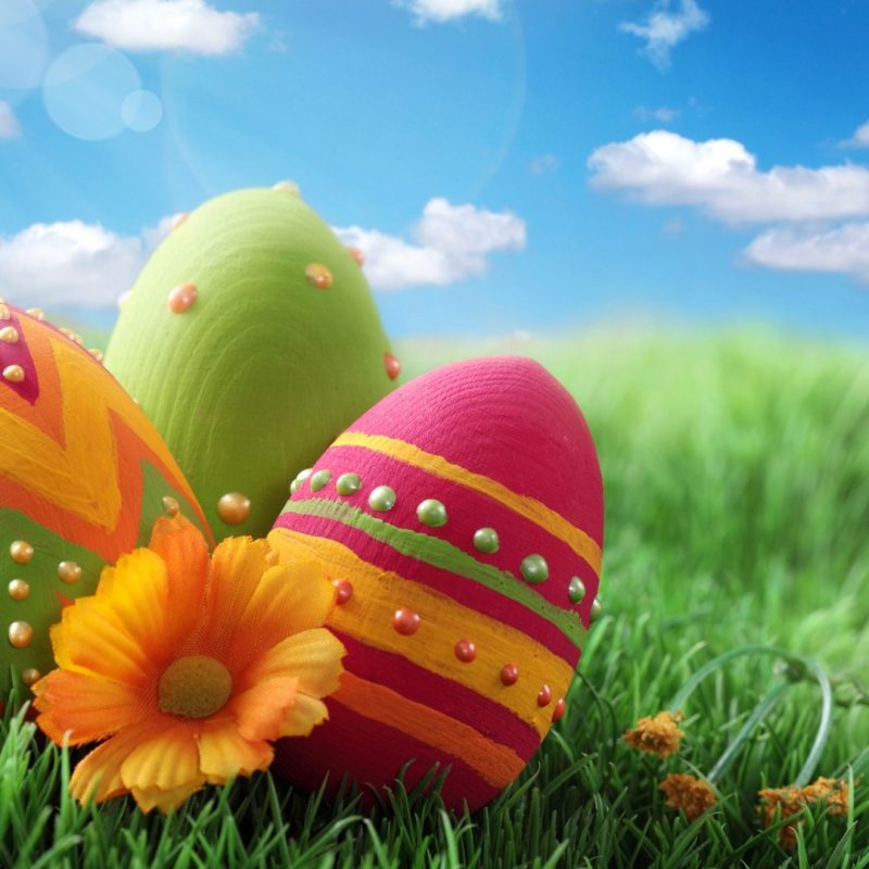 10 New Free Easter Desktop Wallpapers FULL HD 1920×1080 For PC Desktop 2024 free download easter eggs wallpaper top quality wallpapers 1 800x800