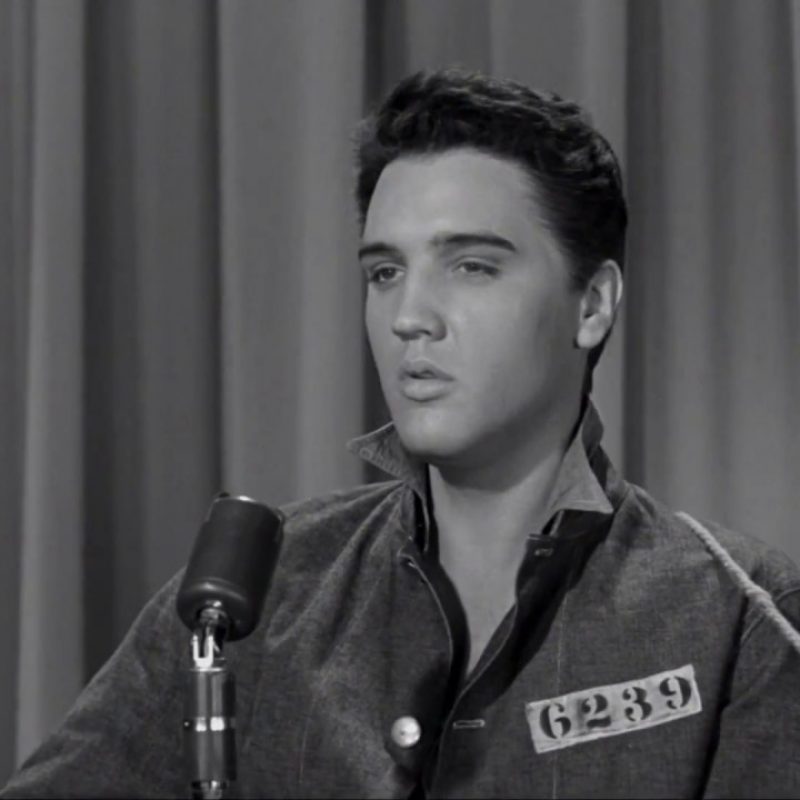 10 Best Free Elvis Presley Photos FULL HD 1080p For PC Desktop 2023 free download elvis presley i want to be free youtube 800x800