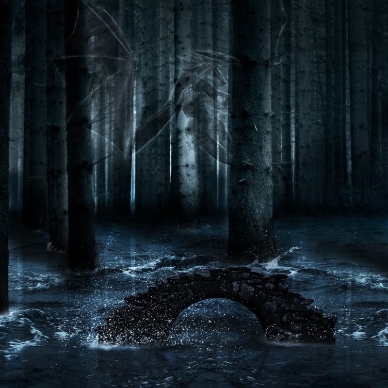 10 Most Popular Dark Enchanted Forest Background FULL HD 1920×1080 For PC Background 2024 free download enchanted forest 10742 1440x900 px hdwallsource 800x800