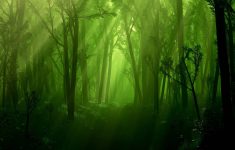 enchanted forest backgrounds - wallpaper cave