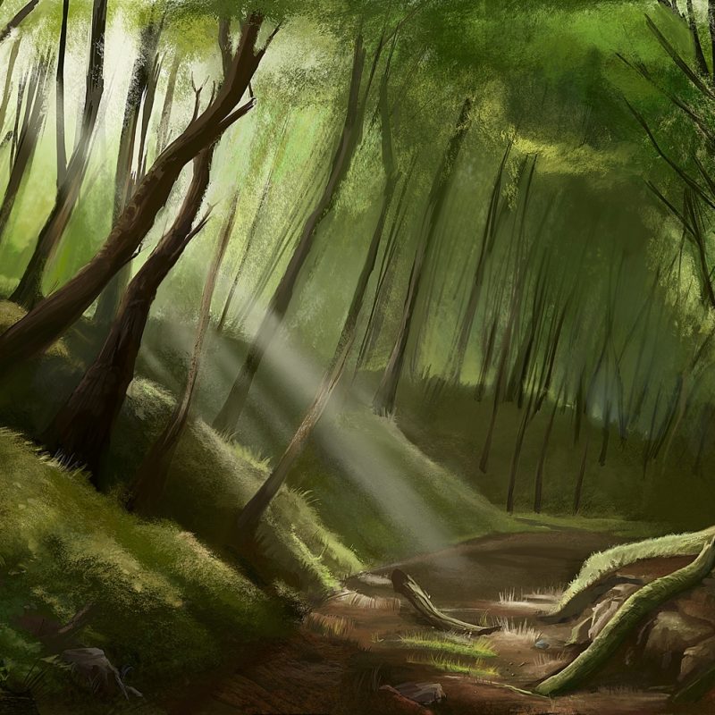 10 Most Popular Dark Enchanted Forest Background FULL HD 1920×1080 For PC Background 2024 free download enchanted forest enchanted forestalinemendes on deviantart 800x800