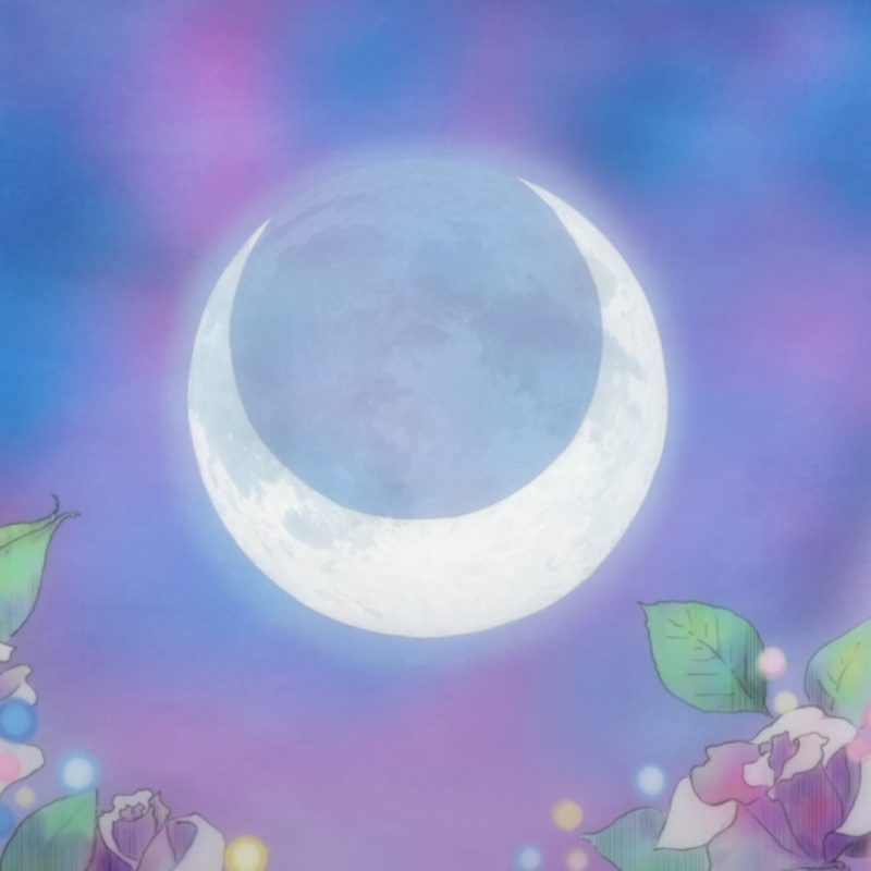 10 Latest Sailor Moon Background Wallpaper FULL HD 1080p For PC Desktop 2021 free download eternal devotions moon passions sailor moon sailor moon crystal 800x800