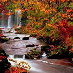 fall landscape wallpaper | hd autumn trees nature landscape leaf