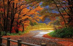 fall scenery wallpapers - wallpaper cave