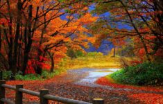 fall wallpaper high definition | natures wallpapers | pinterest