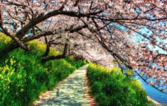 find out: spring nature wallpapers hd wallpaper on http