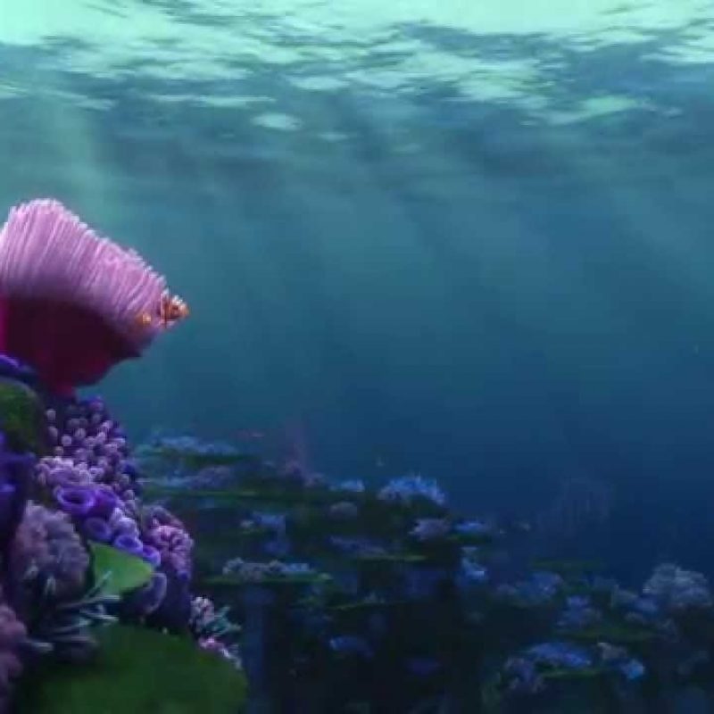 10 Latest Finding Nemo Ocean Background FULL HD 1920×1080 For PC Background 2024 free download finding nemo and ocean degredation a remix youtube 800x800