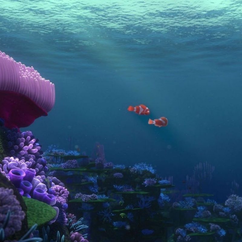 10 Latest Finding Nemo Ocean Background FULL HD 1920×1080 For PC Background 2024 free download finding nemo animation underwater sea ocean tropical fish adventure 800x800