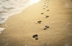 footprints in the sand at sunset stock photo, picture and royalty
