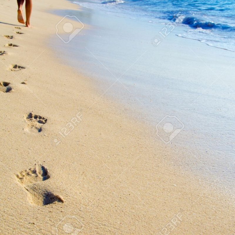 10 New Footprints In The Sand Images Free FULL HD 1920×1080 For PC Desktop 2024 free download footprints in the sand stock photos royalty free footprints in the 800x800