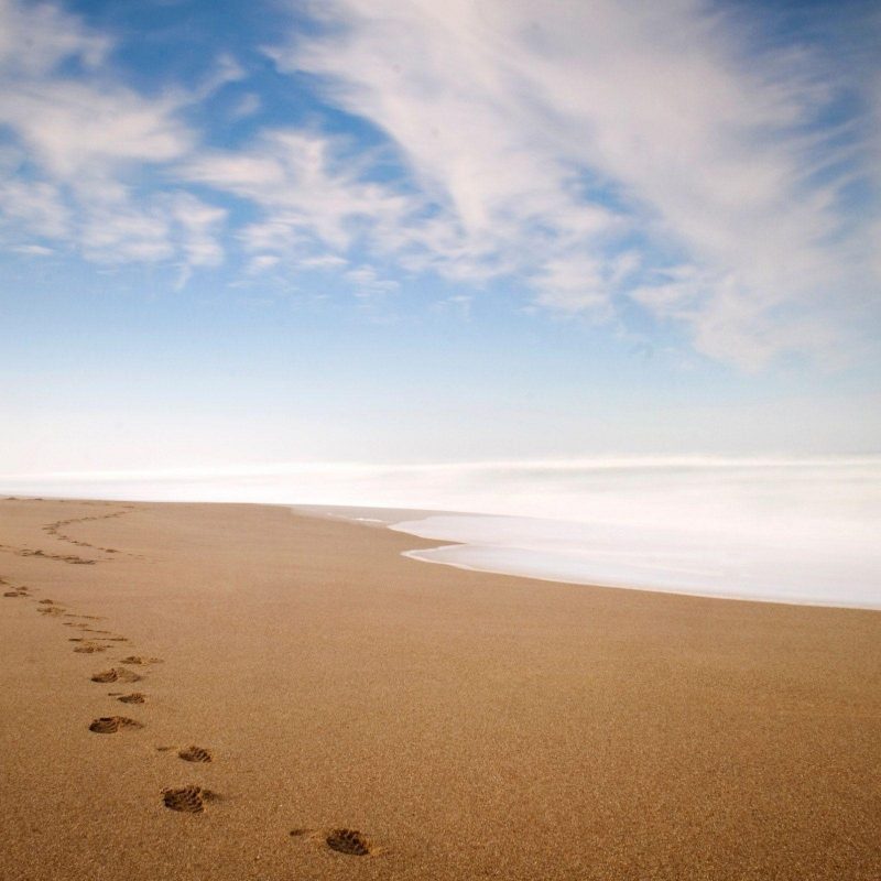 10 Latest Footprints In The Sand Pictures FULL HD 1920×1080 For PC Desktop 2024 free download footprints in the sand wallpapers wallpaper cave 1 800x800