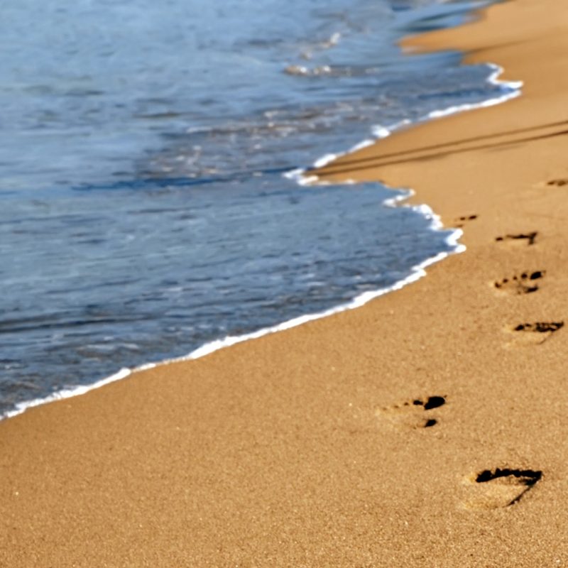 10 Latest Footprints In The Sand Pictures FULL HD 1920×1080 For PC Desktop 2024 free download footprints in the sandleona lewis sevenponds blogsevenponds blog 800x800