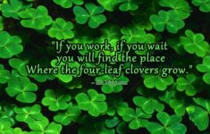 four leaf clover wallpapers - wallpaper cave