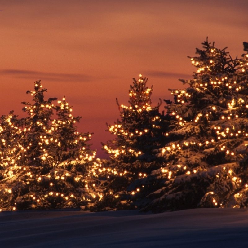 10 Best Winter Christmas Lights Wallpaper FULL HD 1080p For PC Background 2021 free download free desktop christmas lights wallpapers winter media file 1 800x800