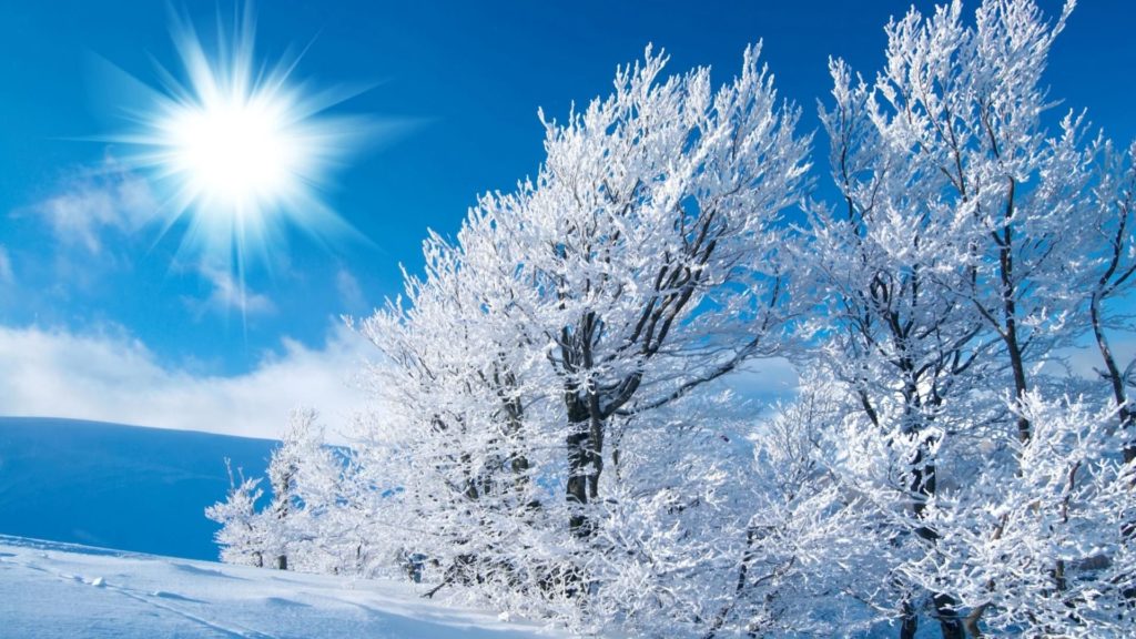 10 Most Popular Winter Free Wallpaper Background FULL HD 1920×1080 For PC Background 2024 free download free desktop wallpaper background winter desktop backgrounds 1024x576