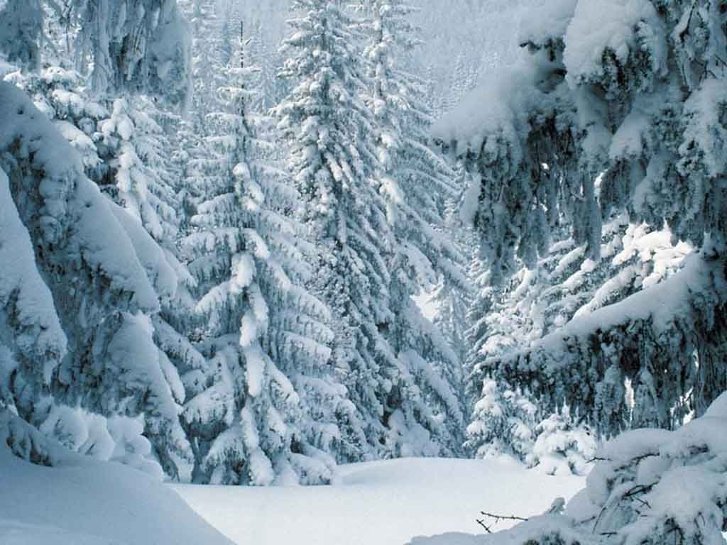 10 Most Popular Winter Scene Screensavers Free FULL HD 1920×1080 For PC Desktop 2024 free download free desktop wallpapers winter scenes wallpaper cave 5 1024x768