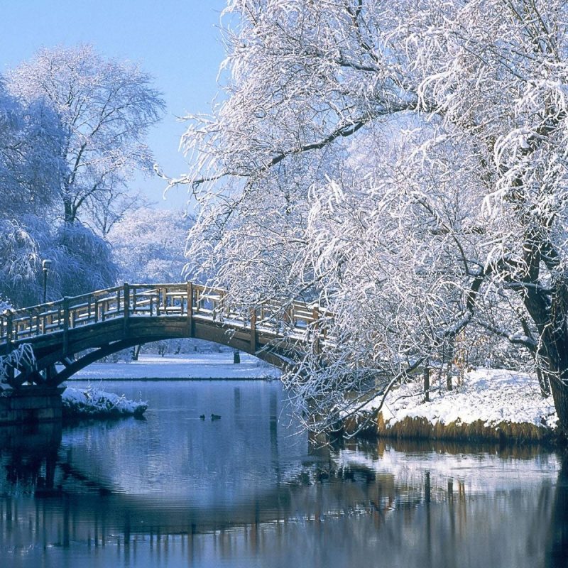 10 Most Popular Winter Scenes Wallpaper For Computer FULL HD 1080p For PC Desktop 2024 free download free desktop wallpapers winter scenes wallpaper cave 7 800x800
