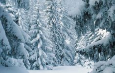free desktop wallpapers winter scenes - wallpaper cave