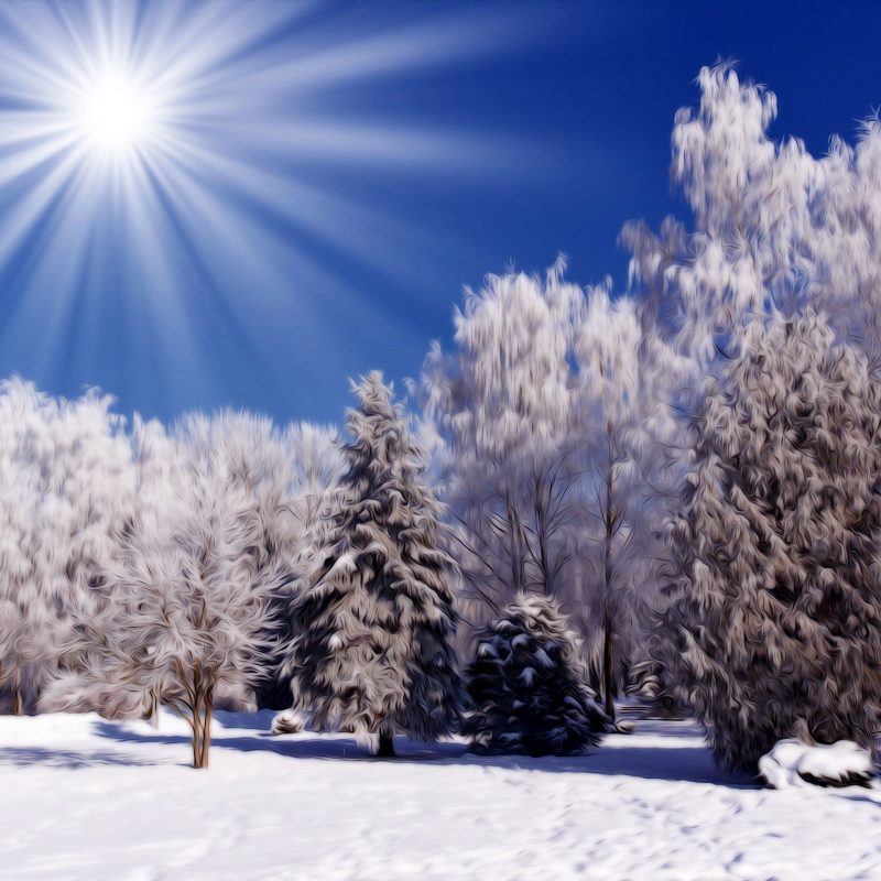10 Best Winter Scenes For Desktop FULL HD 1080p For PC Background 2024 free download free desktop wallpapers winter scenes wallpaper cave all 4 800x800