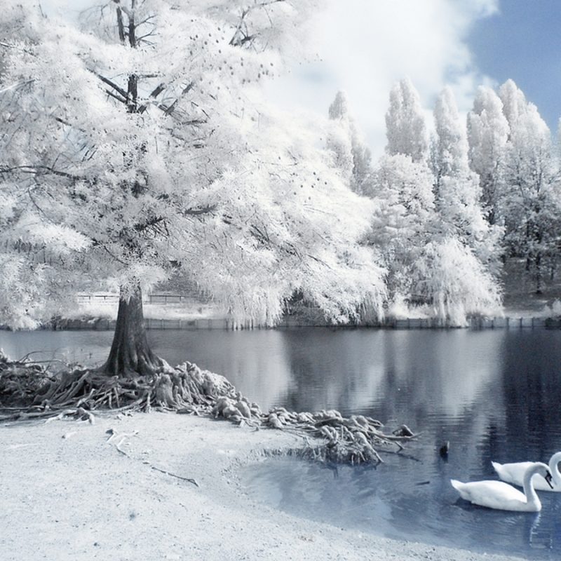 10 Most Popular Free Winter Wallpapers And Screensavers FULL HD 1080p For PC Desktop 2024 free download free download wallpapers for desktop most beautiful places in the 800x800