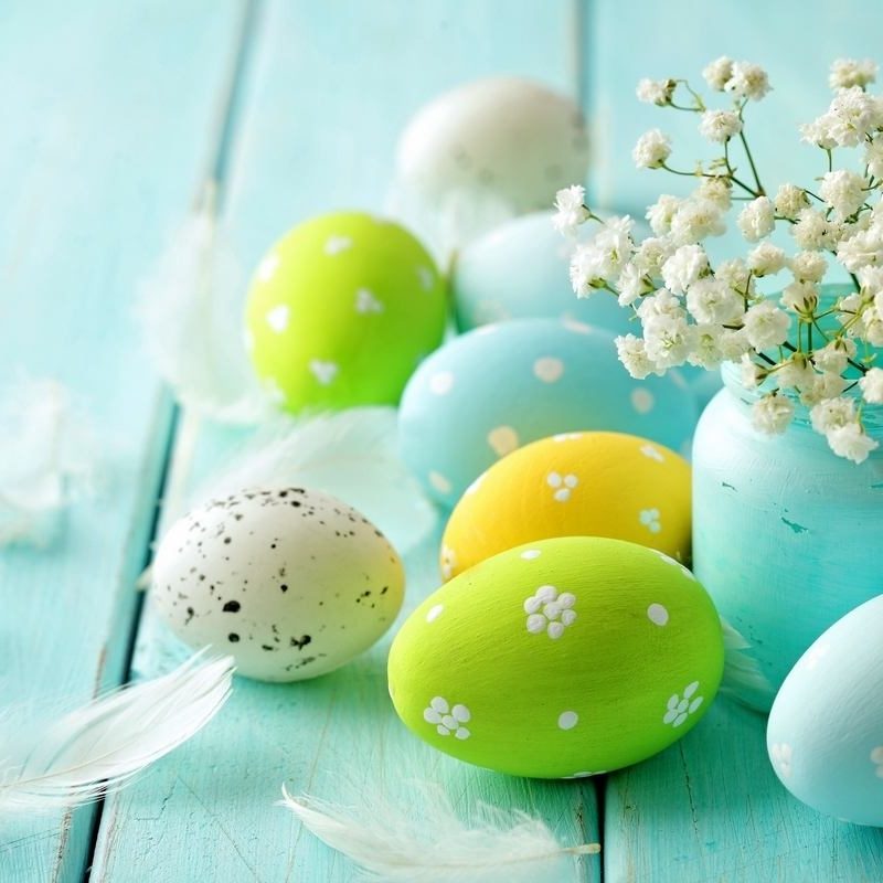 10 Most Popular Free Easter Wallpaper For Computers FULL HD 1080p For PC Background 2024 free download free easter wallpaper hd for desktop collection 17 media file 1 800x800