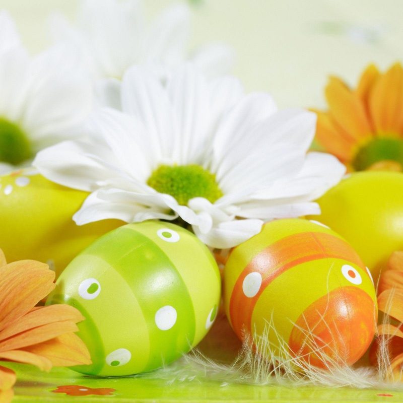 10 New Free Easter Desktop Wallpapers FULL HD 1920×1080 For PC Desktop 2024 free download free easter wallpapers for computer wallpaper cave 10 800x800