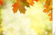 free fall background pictures | http://www.specialswallpaper
