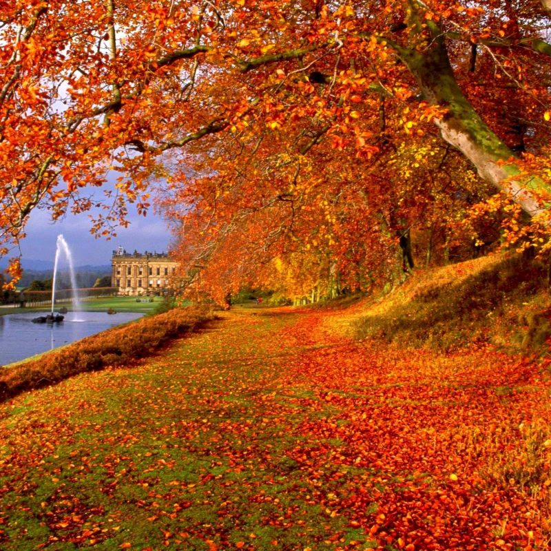 10 Best Free Computer Backgrounds For Fall FULL HD 1080p For PC Desktop 2024 free download free fall backgrounds desktop wallpaper cave 13 800x800