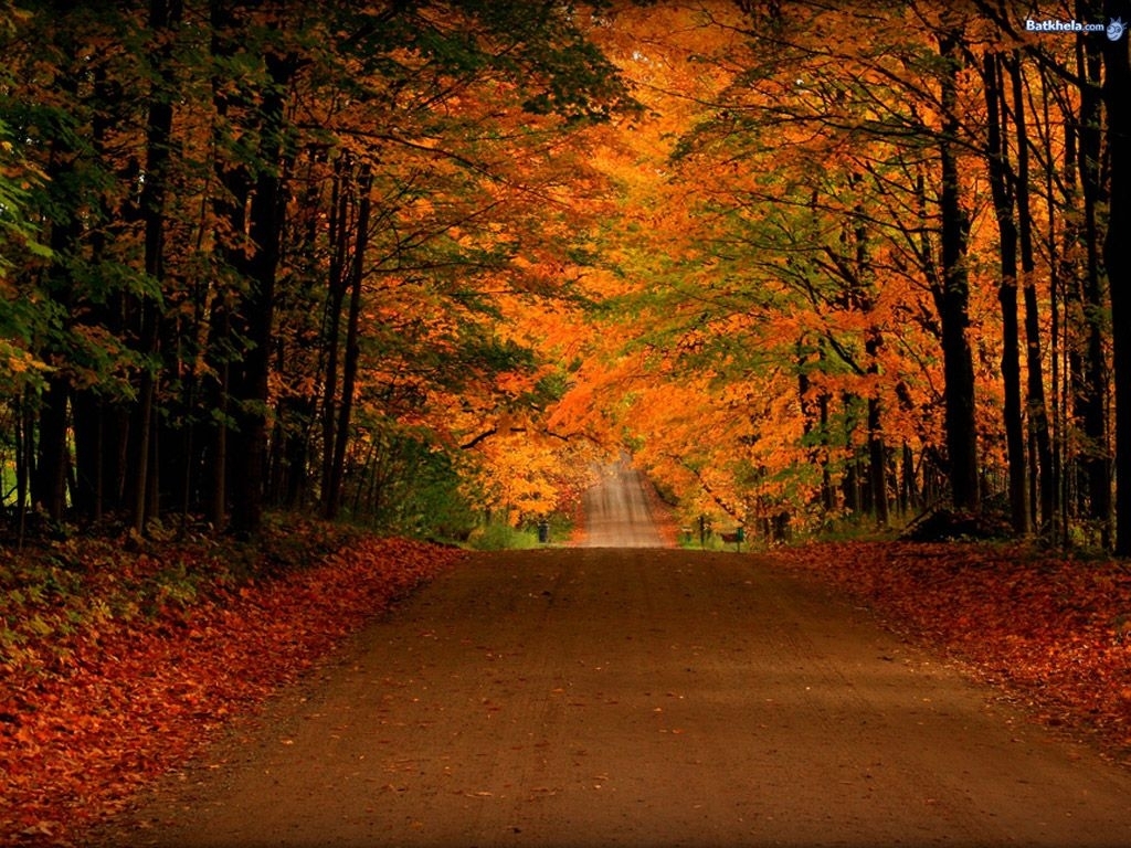10 Most Popular Free Screen Savers For Fall FULL HD 1080p For PC ...