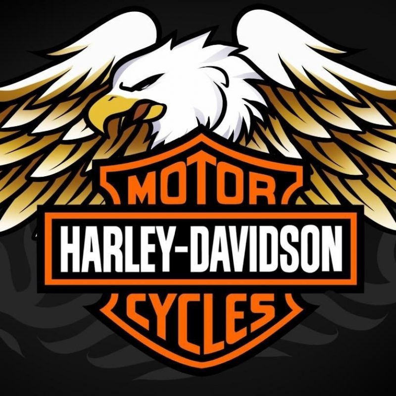 10 Best Harley Davidson Emblem Images FULL HD 1080p For PC Desktop 2024 free download free harley davidson logos how to draw harley davidson logo 800x800
