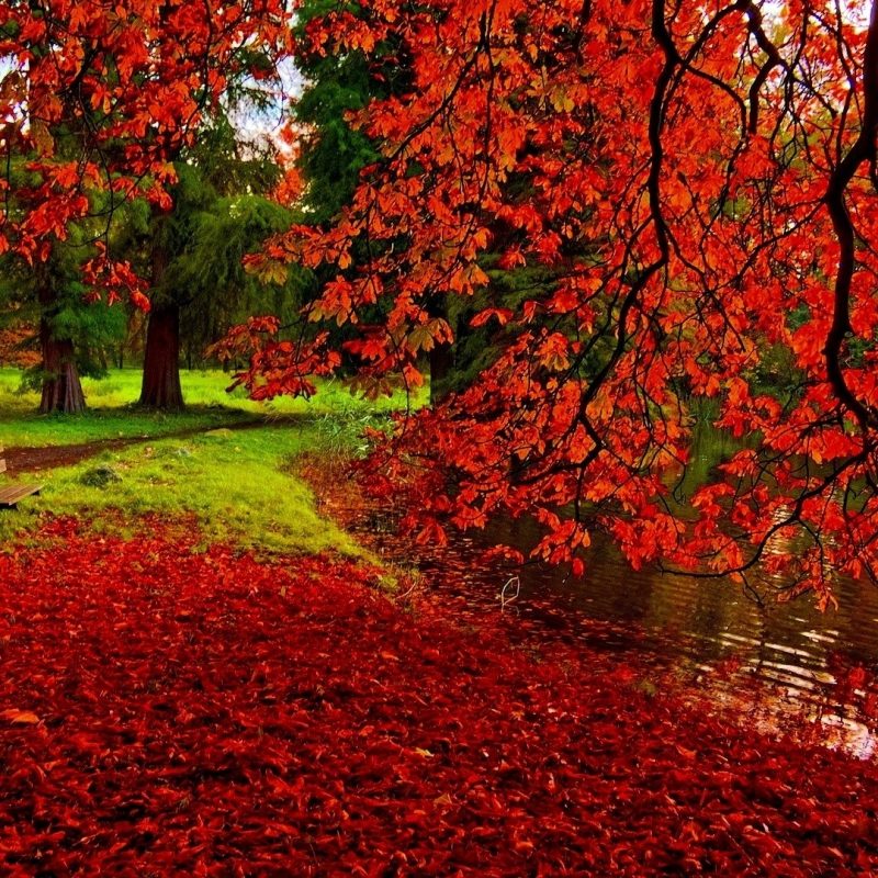 10 Latest Fall Desktop Background Pictures FULL HD 1920×1080 For PC ...