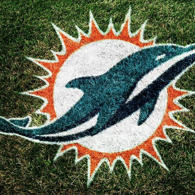 10 Most Popular Miami Dolphins Wallpaper Hd FULL HD 1080p For PC Background 2024 free download free miami dolphins wallpapers group 66 800x800