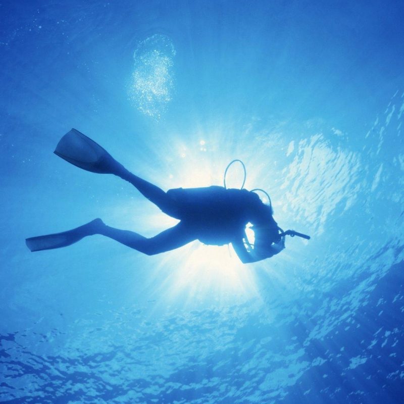 10 Best Scuba Diving Wallpaper High Resolution FULL HD 1080p For PC Desktop 2024 free download free scuba diving wallpapers wallpaper cave 800x800