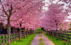 free spring wallpapers and screensavers - wallpaper cave