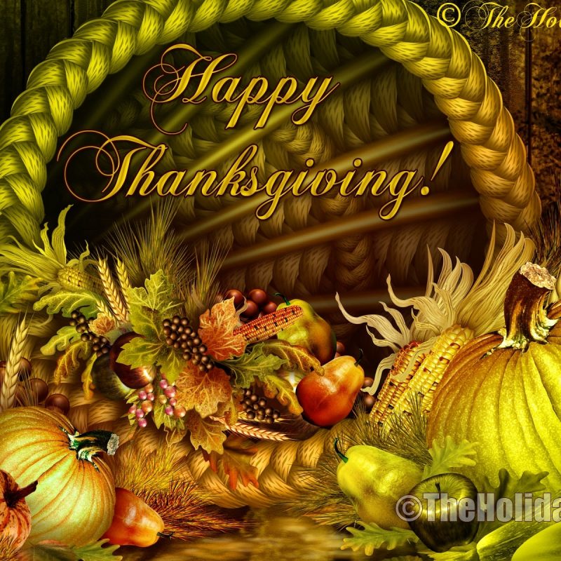 10 Latest Happy Thanksgiving Wallpaper Free FULL HD 1920×1080 For PC Background 2024 free download free thanksgiving wallpapers group 81 800x800