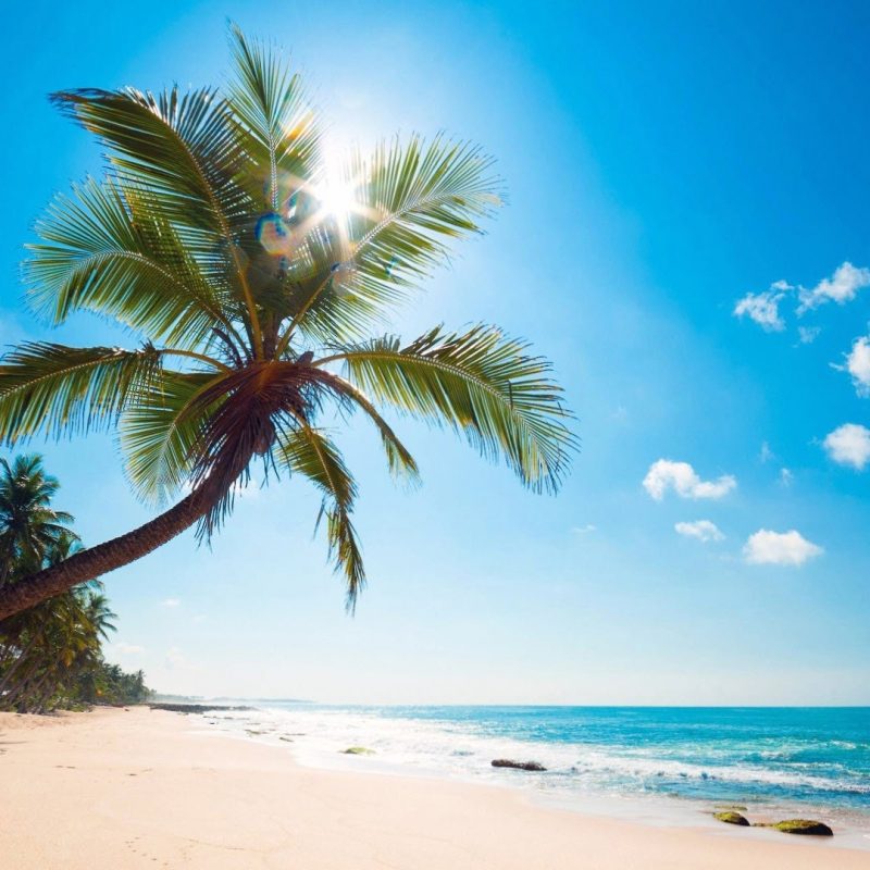 10 Best Tropical Beach Desktop Backgrounds FULL HD 1920×1080 For PC Desktop 2024 free download free tropical beach wallpaper high quality long wallpapers 1 800x800