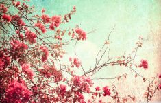 free vintage flower wallpapers high resolution « long wallpapers