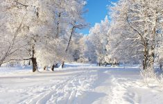 free winter backgrounds wallpapers - wallpaper cave