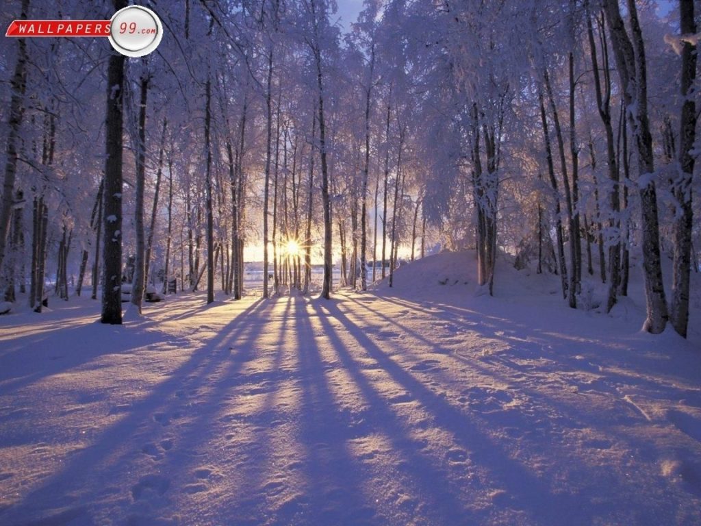 10 Most Popular Winter Scene Screensavers Free FULL HD 1920×1080 For PC Desktop 2024 free download free winter scenes wallpapers photos pictures images free 1152x864 1 1024x768