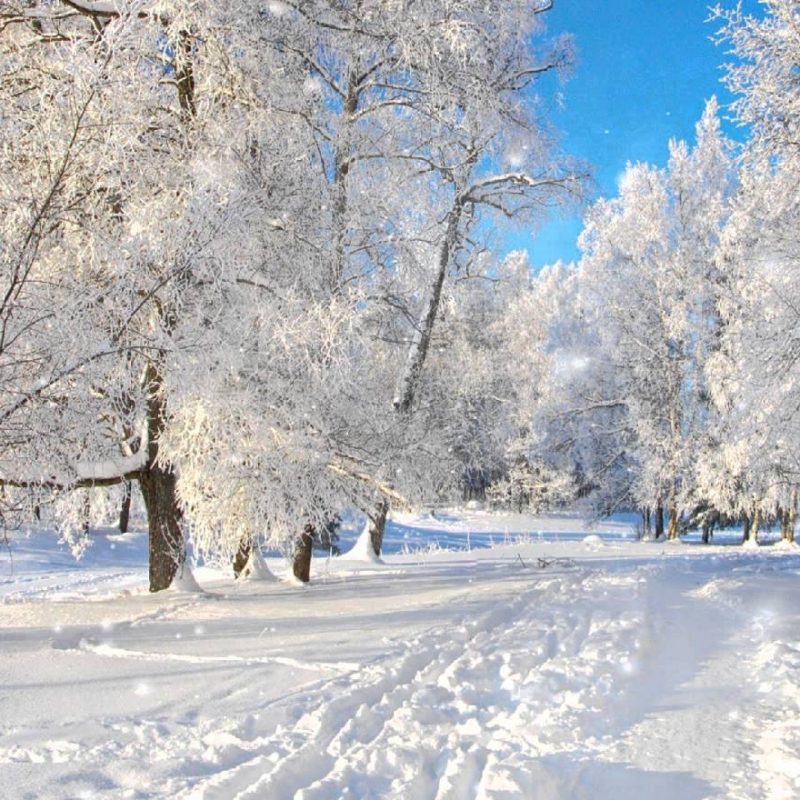 10 Latest Free Winter Scene Screensavers FULL HD 1920×1080 For PC