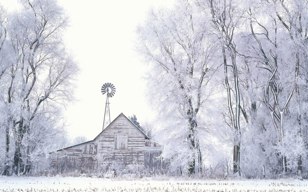 10 Most Popular Winter Scene Screensavers Free FULL HD 1920×1080 For PC Desktop 2024 free download free winter wallpapers hd media file pixelstalk 1024x640