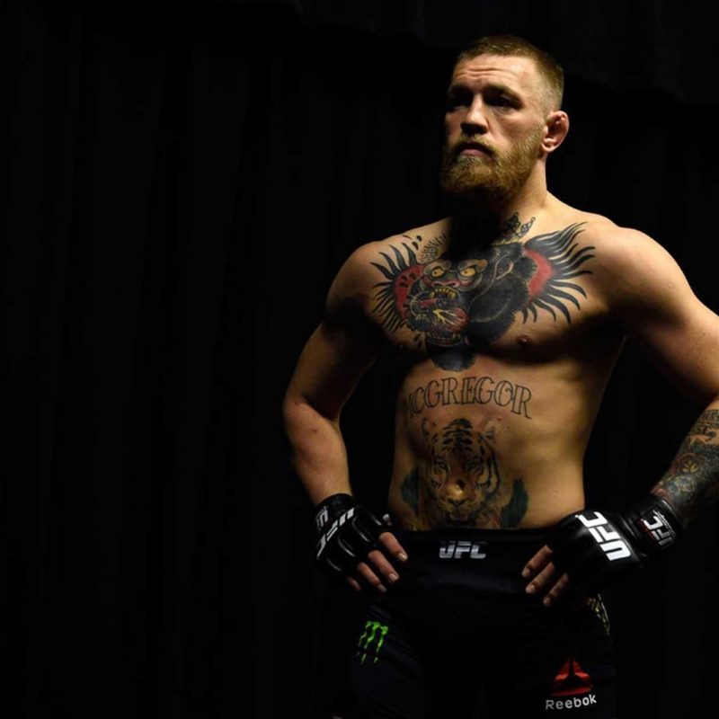 10 New Conor Mcgregor Wallpaper Phone FULL HD 1080p For PC Background 2024 free download full hd for conor mcgregor in high quality and wallpaper androids 1 800x800