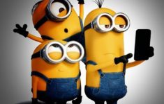 funny minions mobile wallpapers android hd 720hh ×1280 minions