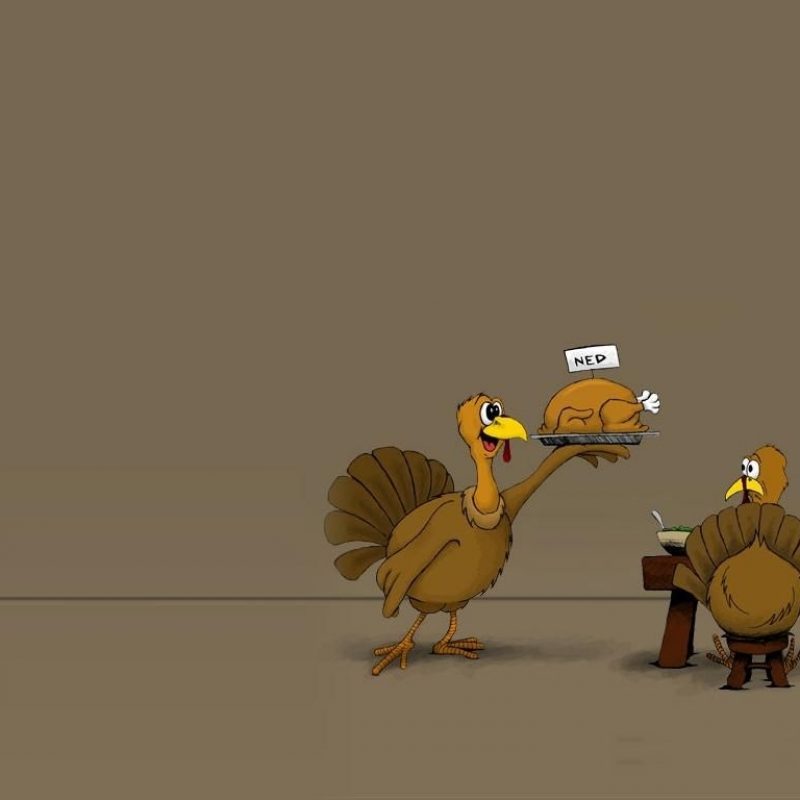 10 Latest Funny Thanksgiving Background Wallpaper FULL HD 1920×1080 For PC Desktop 2024 free download funny quotes free hd wallpapers for desktop thanksgiving hd 1 800x800