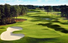 green golf course - walldevil