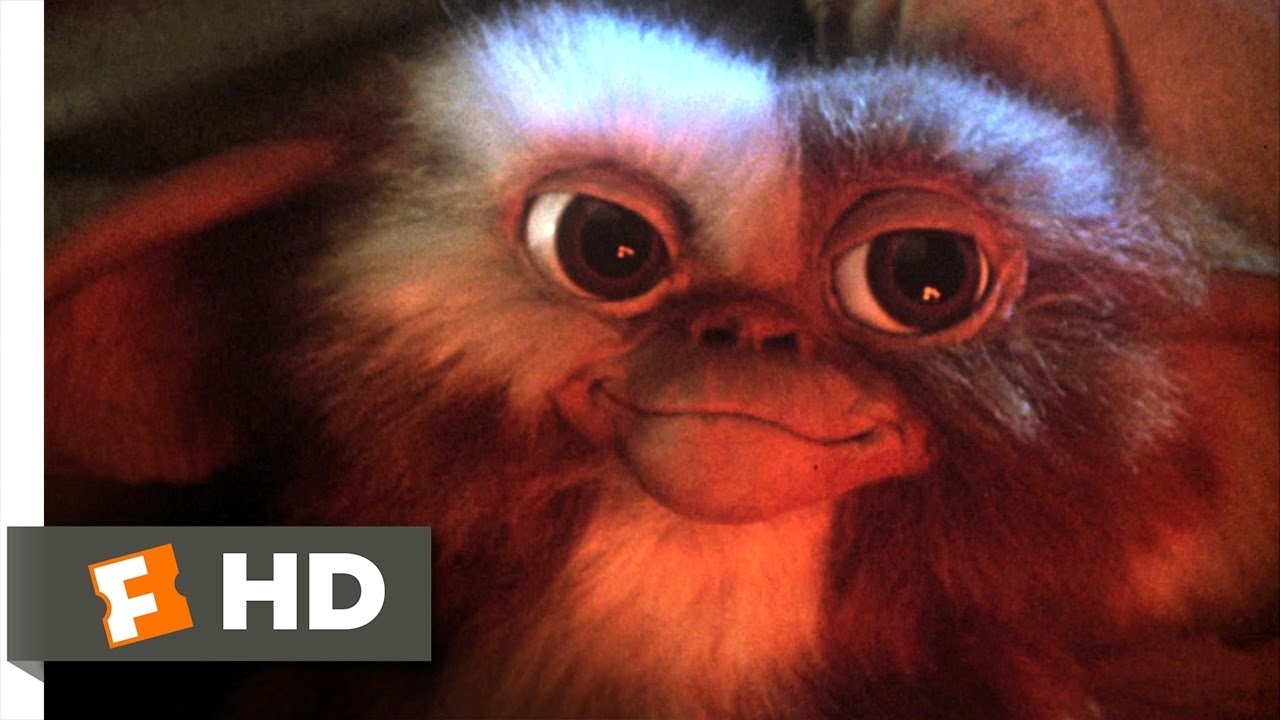 gremlins (1/6) movie clip - billy meets gizmo (1984) hd - youtube
