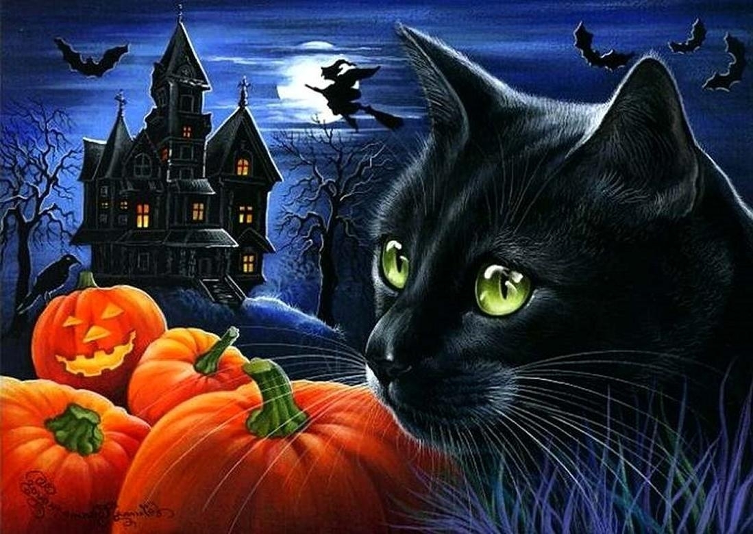 10 New Halloween Black Cats Wallpaper FULL HD 1920×1080 For PC Desktop 2023