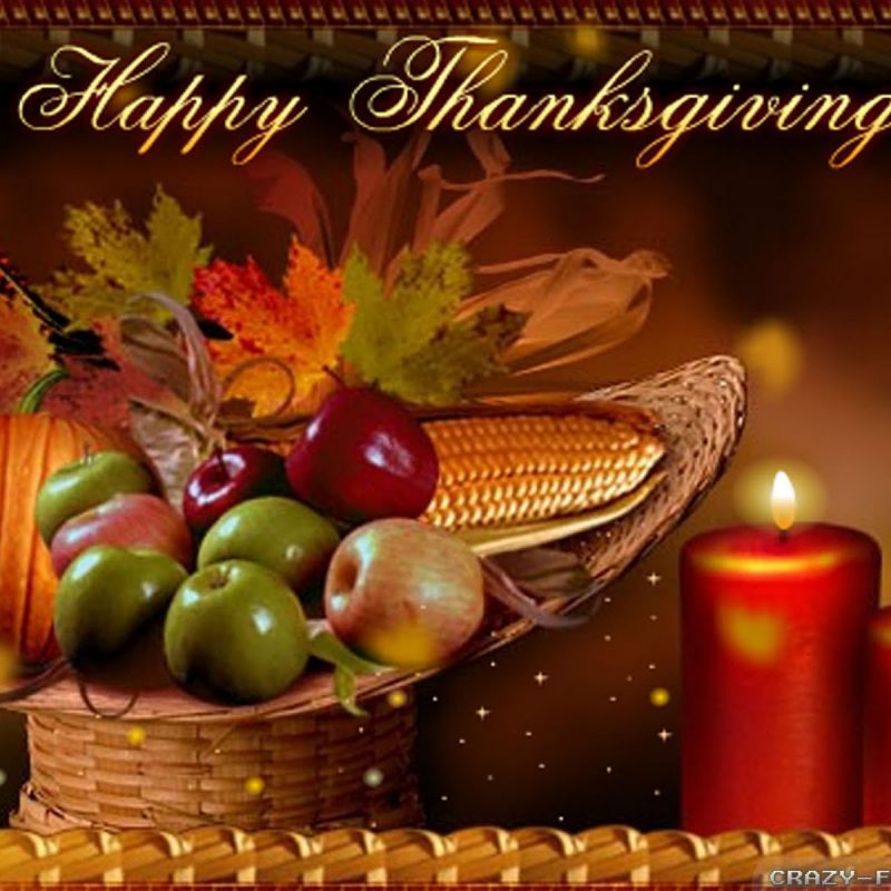 10 Latest Happy Thanksgiving Wallpaper Free FULL HD 1920×1080 For PC Background 2024 free download happy thanksgiving day wallpapers crazy frankenstein 800x800
