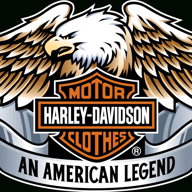 10 Best Harley Davidson Emblem Images FULL HD 1080p For PC Desktop 2024 free download harley davidson 4k ultra hd fond decran and arriere plan 1 800x800