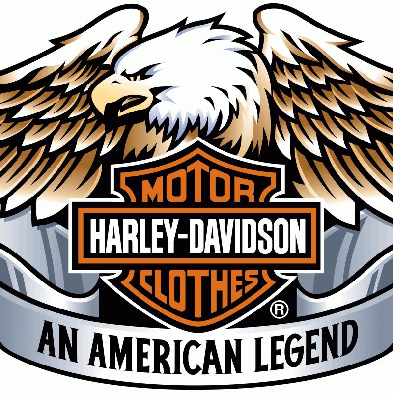 10 Most Popular Harley Davidson Logos Images FULL HD 1080p For PC Desktop 2024 free download harley davidson logo estes oculos harley davidson apresentam um 800x800